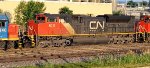 CN 8013